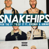 For the F^_^k Of It_Snakehips,Jeremih,Aminé