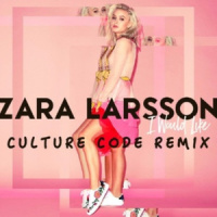 I Would Like_Culture Code,Zara Larsson