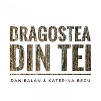 Dragostea Din Tei_Dan Balan,Katerina Begu