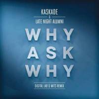 Why Ask Why_Kaskade,Late Night Alumni