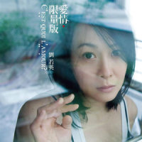 表面的和平_刘若英