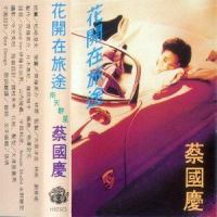 我心中的故事_蔡国庆