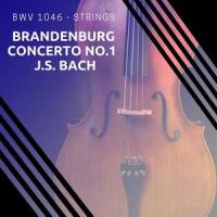 Brandenburg Concerto No. 1 in F major, BWV 1046, I. Allegro_Nick Med,Johann Sebastian Bach