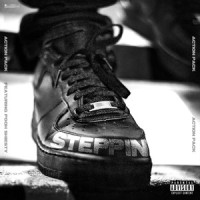 Steppin (feat. Pooh Shiesty)_Action Pack,Pooh Shiesty