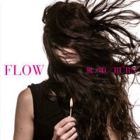 BURN_FLOW