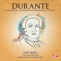 Concerto No. 1 for Strings and Harpsichord in F Minor: II. Allegro – Andante_Collegium Pro Arte,Eberhard Kraus