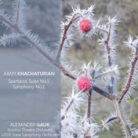 Spartacus Suite No. 2: Adagio of Spartacus and Phrygia (阿拉姆哈:斯巴达克斯组曲,第2号:斯巴达克斯和弗里吉亚的柔板)_Bolshoi Theatre Orchestra,Aram Khachaturian,Alexander Gauk