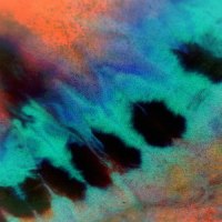 The World Is Ours (Feat. Chamane, The Quiett)_HD BL4CK,Chamane,The Quiett