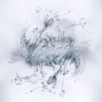 Yuyake (雨亚卡)_hideyuki hashimoto