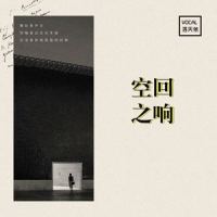 空之回响_洛天依