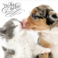 I Love You_THE ALFEE