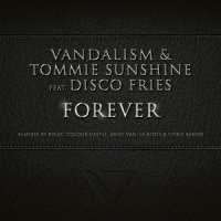 Forever_VanDalism,Disco Fries