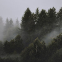 Pacific Dreams_Sleepy Times,Japanese Relaxation and Meditation,Bedtime Baby