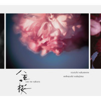 八重の桜 紀行_坂本龙一