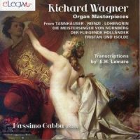Tannhäuser, WWV 70: Pilgrim's Chorus (Arr. E.H. Lemare for Organ)_Massimo Gabba