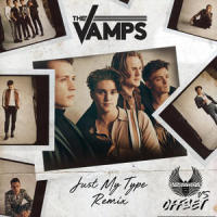Just My Type_The Vamps