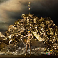 鉄壁_女王蜂