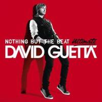 Nothing Really Matters (feat. will.i.am)_David Guetta,will.i.am
