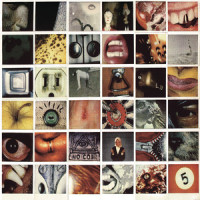 In My Tree_Pearl Jam