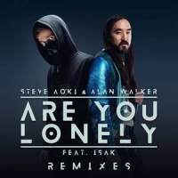 Are You Lonely_Steve Aoki,Alan Walker,ISÁK