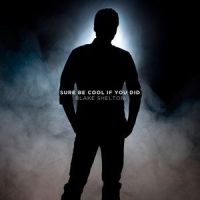 Sure Be Cool If You Did_Blake Shelton