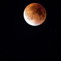 Blessed Dark_Musica Para Estudiar Academy,Deep Sleep,Zen Meditate