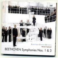 IV. Adagio - Allegro molto (第四乐章 慢板 - 极急速的)_Copenhagen Chamber Orchestra,Morten Ryelund