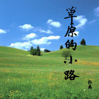 草原的小路_韩磊
