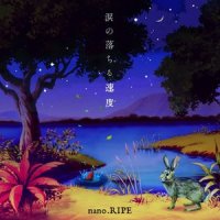 レインカーテン_nano.RIPE