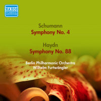 IV. Finale: Allegro con spirito_Berliner Philharmoniker,Wilhelm Furtwängler