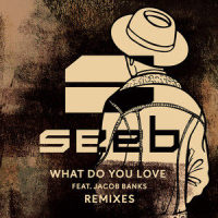 What Do You Love_Seeb,Jacob Banks