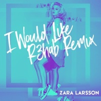 I Would Like_Zara Larsson