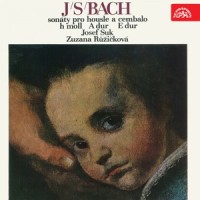 Sonata No. 2 in A-Sharp Major, .: III. Allegro assai_Josef Suk,Zuzana Ruzickova