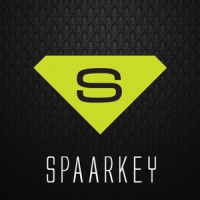The Writer_Ellie Goulding,Spaarkey