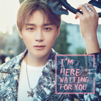 I'm Here Waiting For You_李炜