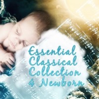 Violin Concerto No. 1 in A Minor, BWV 1041: II. Adagio ma non tanto_Newborn Essential Collection
