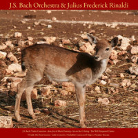Orchestral Suite in D Major, No. 3, BWV 1068: II. Air_Johann Sebastian Bach