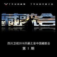 拉萨酒吧_德格叶