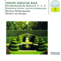 II. Andante (第二乐章 行板)_Berliner Philharmoniker,Herbert von Karajan,Michel Schwalbé,Karlheinz Zoeller