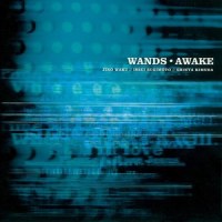 雲が流れる方へ_WANDS