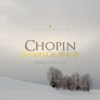 Etude in E-Flat Major, Op. 10 No. 11 "Arpeggio" (Live)_Federico Pulina