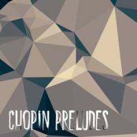 Prelude No. 15 in D-flat major, Op. 28-15_Christoph Karlmann,Frédéric Chopin