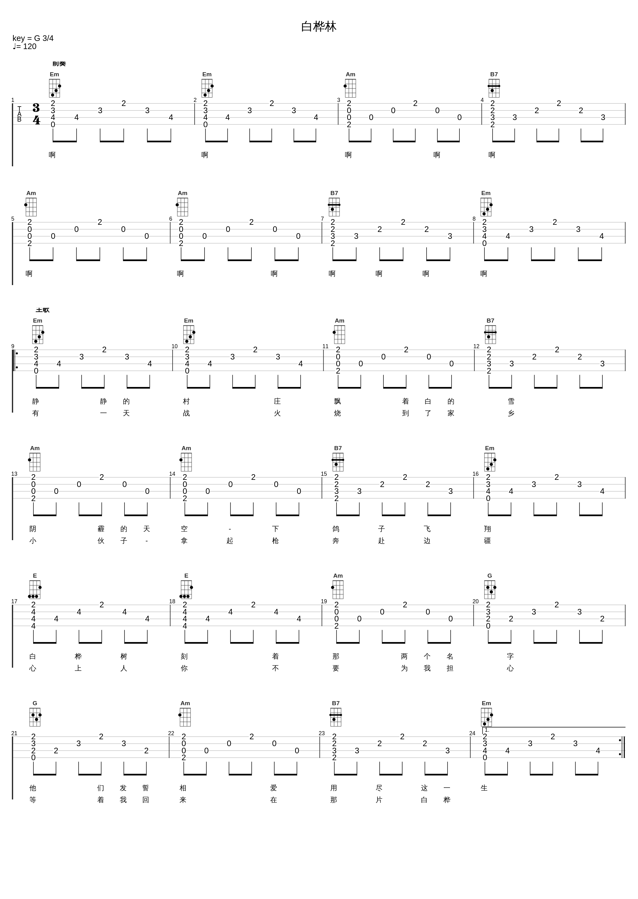 白桦林_朴树_1