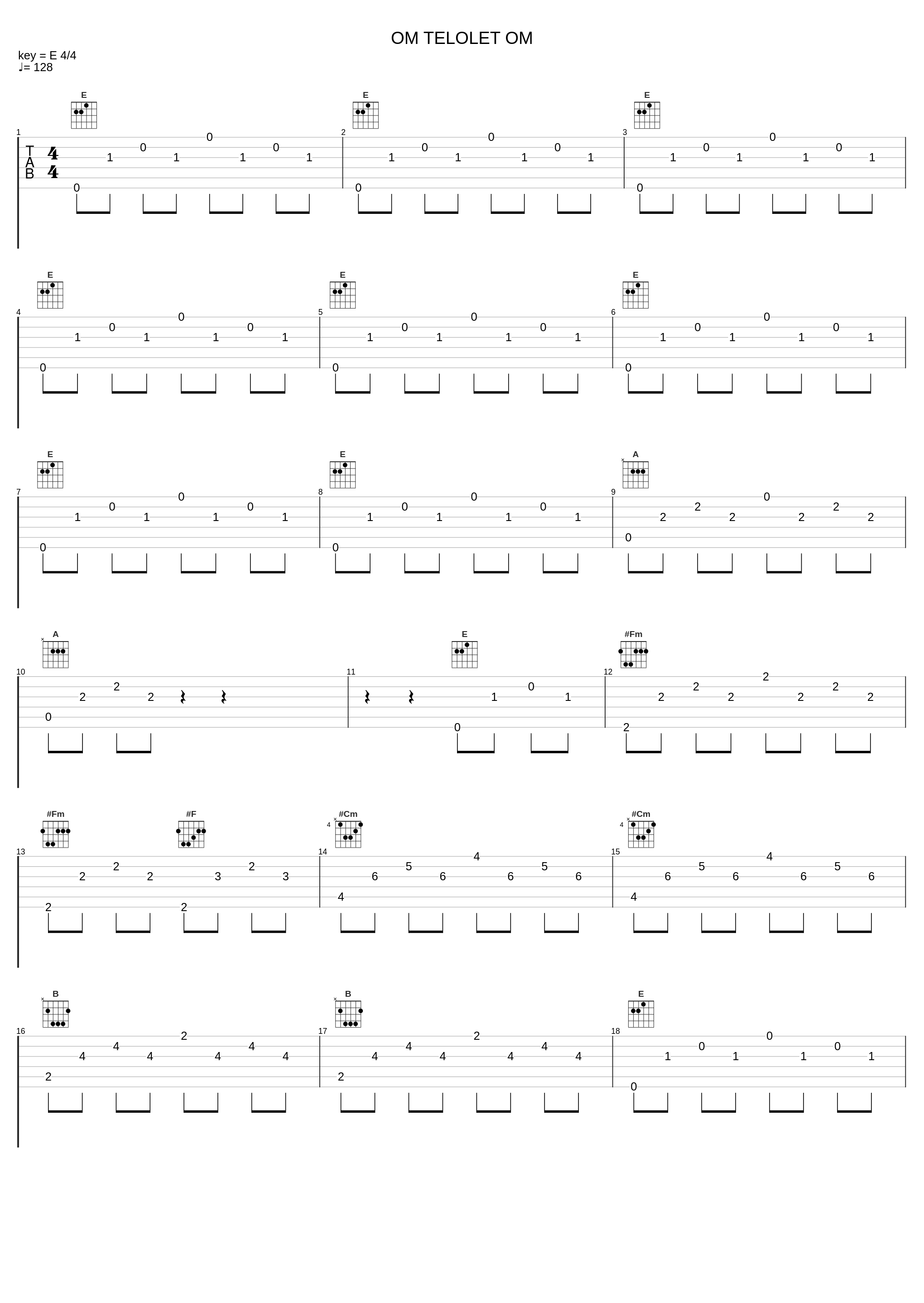 OM TELOLET OM_Ummet Ozcan_1