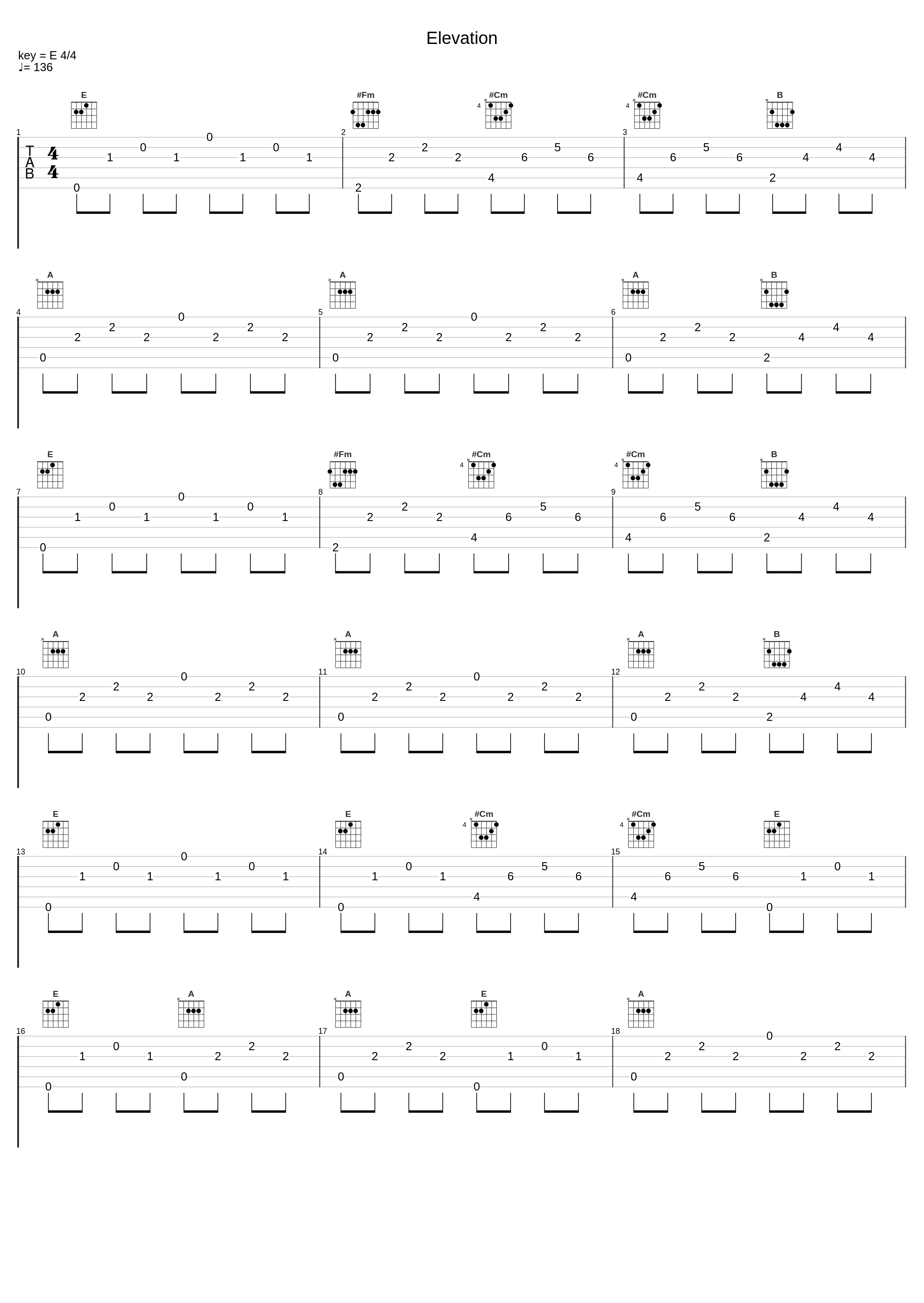 Elevation_X-Ray Dog_1