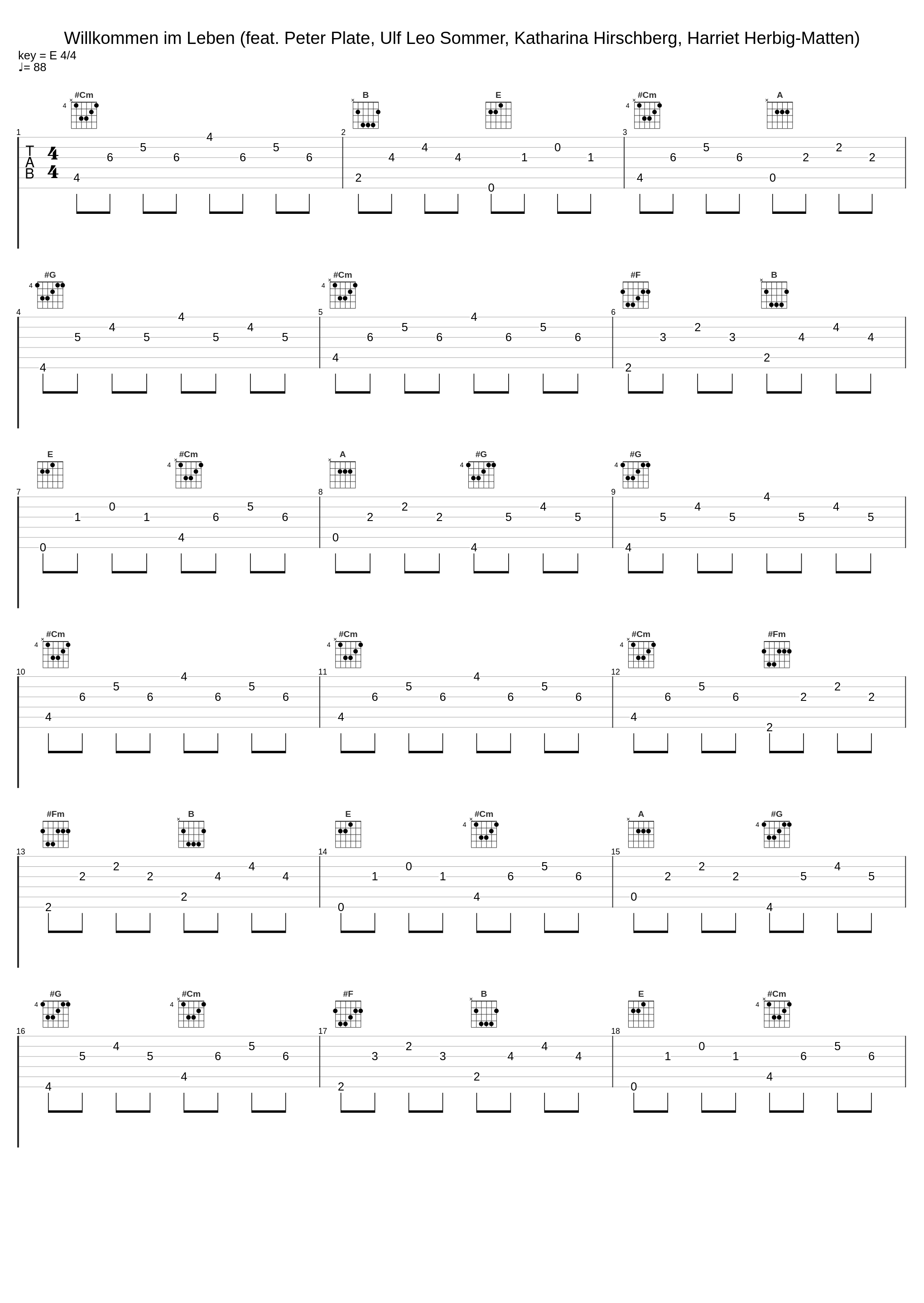 Willkommen im Leben (feat. Peter Plate, Ulf Leo Sommer, Katharina Hirschberg, Harriet Herbig-Matten)_Bibi und Tina,Peter Plate,Ulf Leo Sommer,Harriet Herbig-Matten,Katharina Hirschberg_1