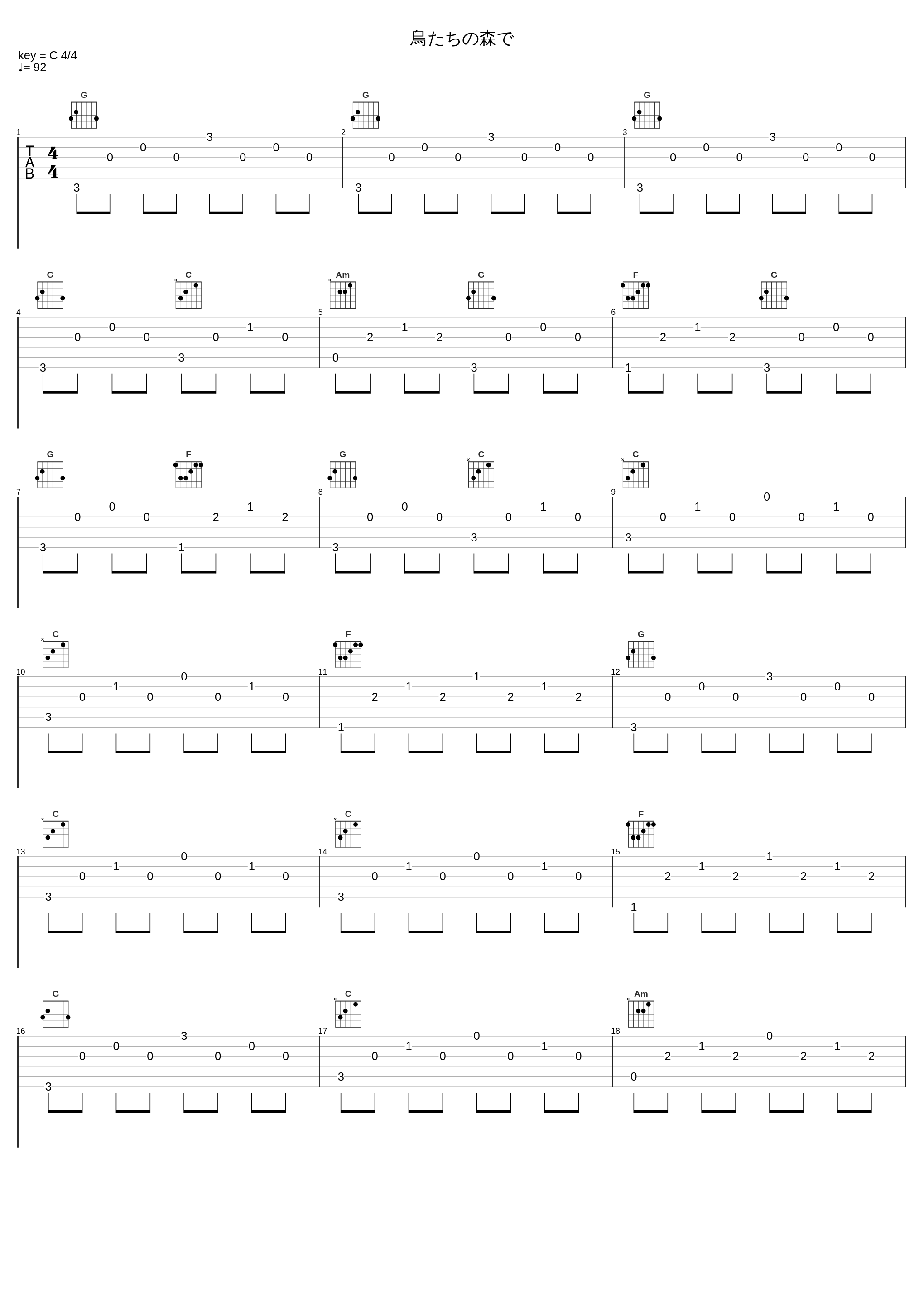 鳥たちの森で_宗次郎_1