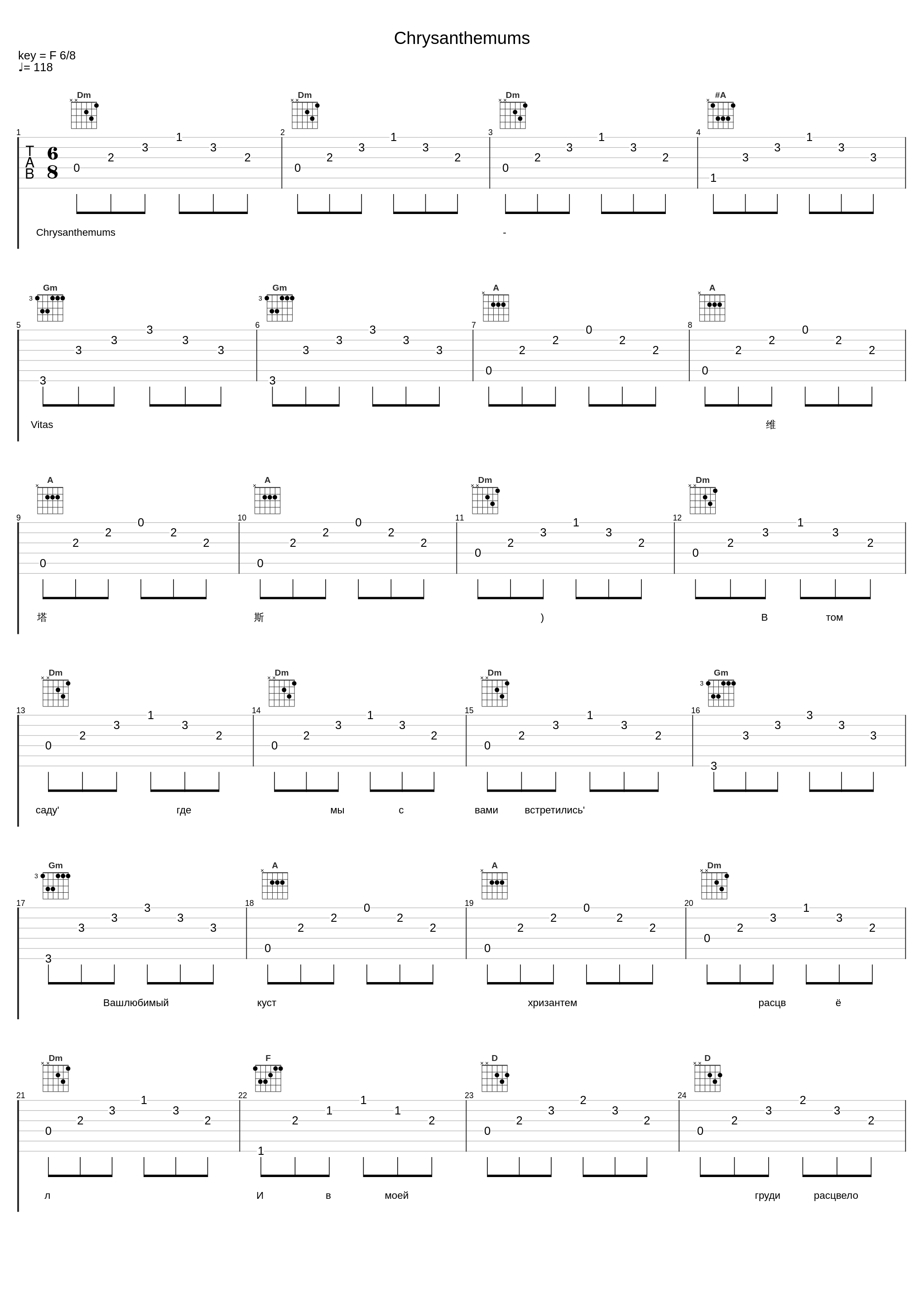 Chrysanthemums_Vitas_1