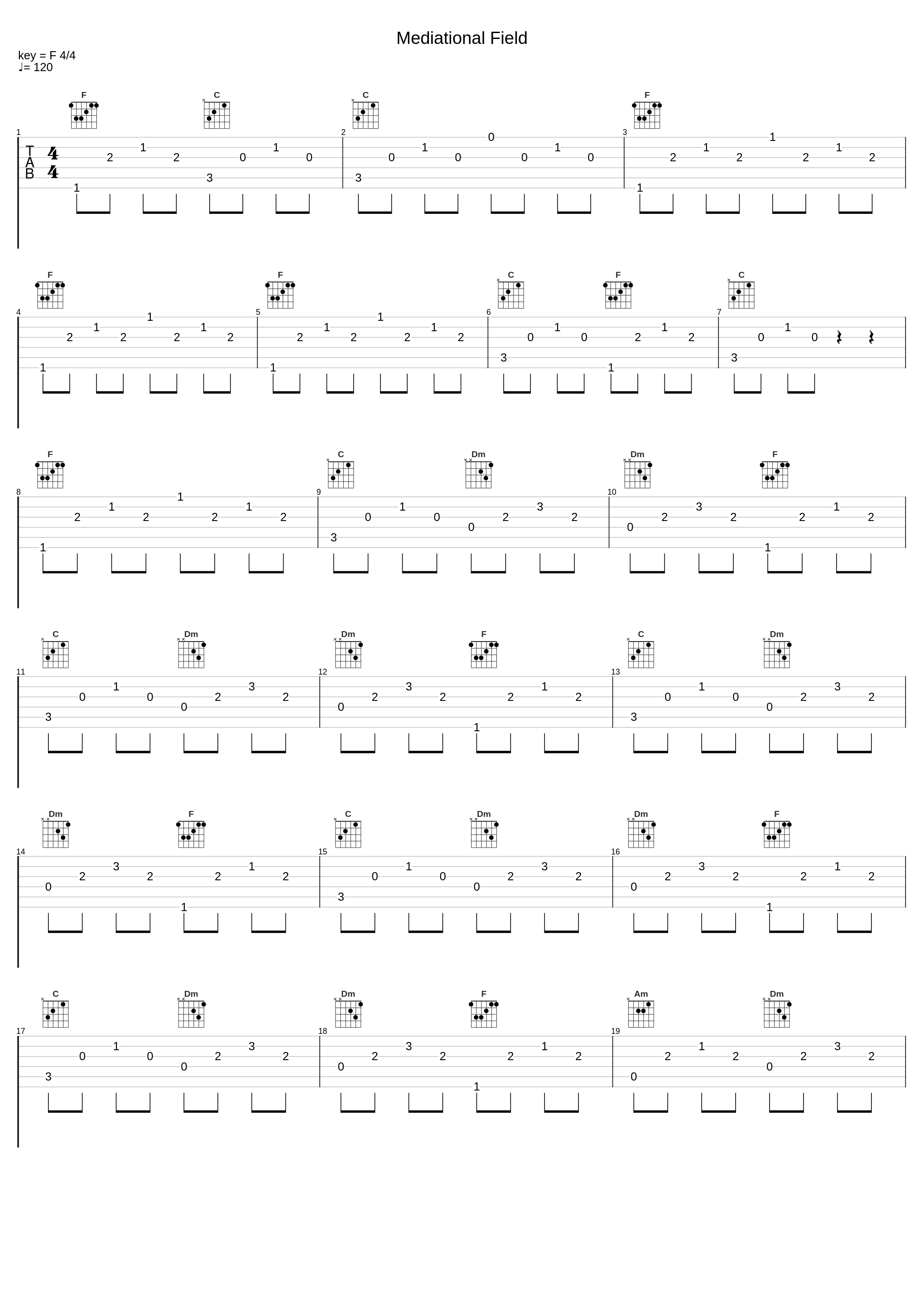 Mediational Field_Susumu Hirasawa_1