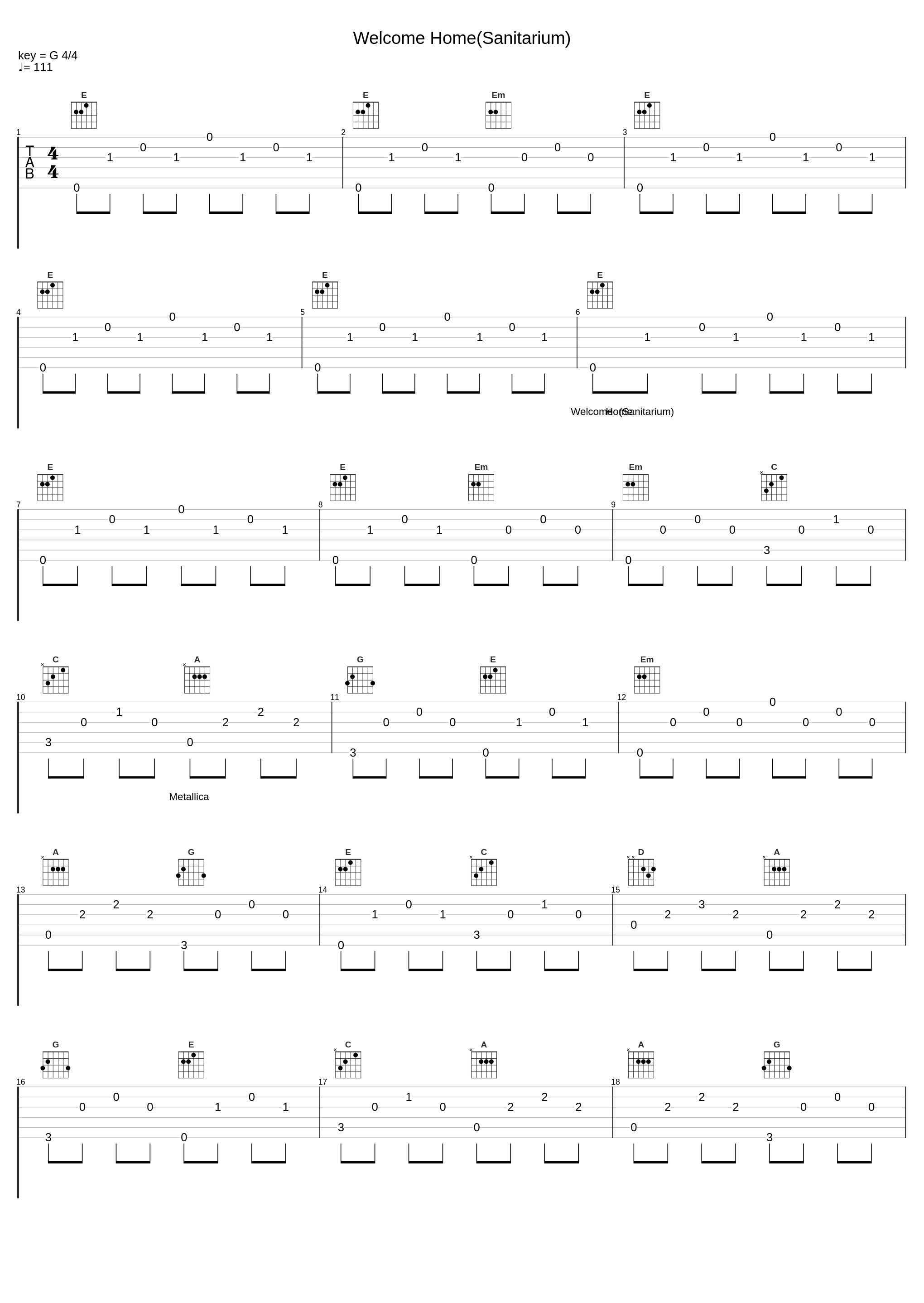 Welcome Home(Sanitarium)_Metallica_1